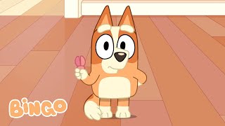 Laugh Out Loud with Bingo 😁 | Adorable Bluey and Bingo Moments ✨🧡 | Bingo - Official Channel