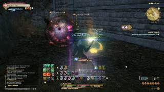 FFXIV ARR : Lv16 Nest We Forget - Walkthrough