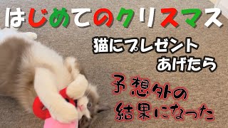 【はじめてのクリスマス】猫にプレゼントをあげたら予想外の結果に