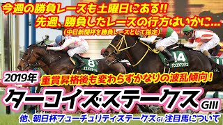 ターコイズステークス2019【競馬予想】｜今週も土曜日が勝負所！波乱重賞を解析して的中を目指す！