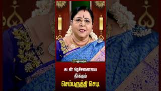 கடன் பிரச்சனையை தீர்க்கும் செம்பருத்தி செடி...! | Dr.வரம்.T.சரவணாதேவி | #puthuyugamtv