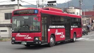 プリンセスラインバス（京都急行バス）1684　ブルーリボンⅡワンステ車