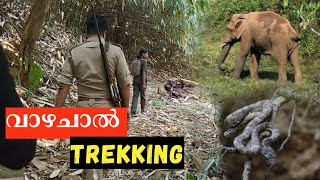 Vazhachal Forest Trekking | Vazhachal Forest | New Trekking Route Re opened after 17 years |