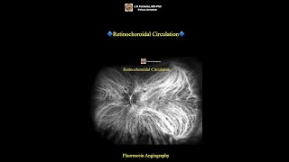 Retinochoroidal Circulation. Indocyanine green angiography.