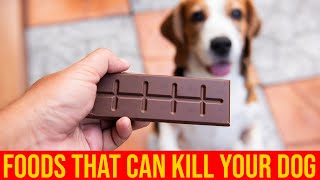 10 Food That Will Kill Your Dogs