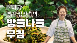 쉽고 맛있는 건강한 계절반찬 01 -  방풀나물 무침