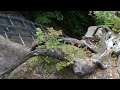 薬師岳登山途中に振り返る早池峰山の風景　岩手県花巻市