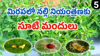 మిరపలో నల్లి నియంత్రణ | Chilli Mites Control | Mana kisan (మన రైతు)