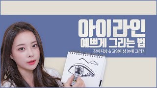 [아이라인 예쁘게 그리는법!] 강아지상, 고양이상 아이라인 그려봐요💕내 눈에 맞는 각도찾기! [ENG/SPA SUB]