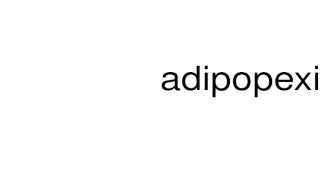 How to pronounce adipopexic