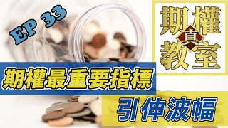 真 期權教室 EP33 美股期權 最重要的指標 IV 引伸波幅 | Implied Volatility | 期權教學 | 股票期權