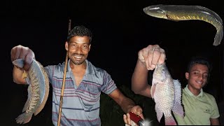 শীতের রাতে মাছ ধরে পিকনিক 🤤 | Winter night fishing and picnic | Village Fishing Vlog