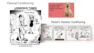 Behavior2-Learning (Classical Conditioning and Operant Conditioning)