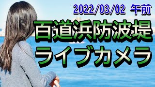 2022年03月02日(水)午前　百道浜防波堤ライブカメラ・アーカイブ