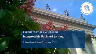 BADS Video Lecture 12 - Interpretable Machine Learning Part II & Class imbalance
