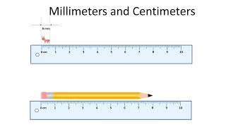Metric units of length | How to convert mm, cm, m and km