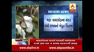 Maha cyclone effect on Surendranagar Jilla farmers