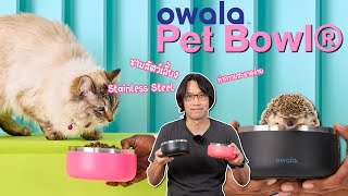 ชามใส่อาหารและน้ำของน้องๆสัตว์เลี้ยง | Owala Pet Bowl