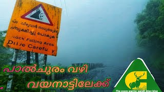 Palchuram to wayanad ! പാൽചുരം view point to മാനന്തവാടി വയനാടിലേക് ഒരു യാത്ര #Keralatourism #malabar