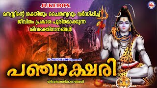 മനസ്സിൻ്റെ ശക്തിയും ചൈതന്യവും വർദ്ധിപ്പിച്ച് ജീവിതം പ്രകാശപൂരിതമാക്കുന്ന ശിവഭക്തിഗാനങ്ങൾ |Siva Songs