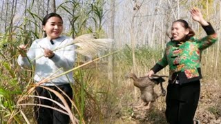 乡愁不仅仅是思念，还可以是一碗家乡菜。