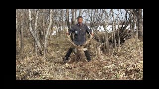 ２０頭ほどのオスの群れの中にデカ極太角を射撃する！