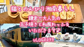 【湘南暮らし】鎌倉で大人気の玉子焼きと和風わっふるいただきます♪ 湘南暮らし 猫との暮らし 移住生活 50代夫婦 夫婦チャンネル