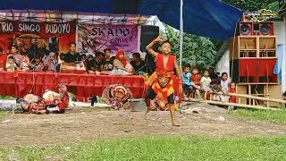 TARI BUJANG GANONG JARANAN SATRIO SINGO BUDOYO live panti serut Jember 2025