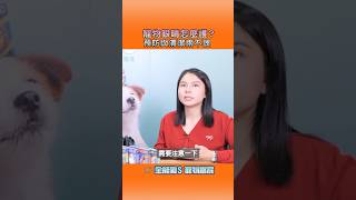 🐶獸醫教你照護毛孩的眼睛