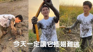 去年跑掉的那條兩斤的鱔魚，今天一定讓它插翅難逃！#viralvideo #fishing #熱門 #農村生活 #抓魚