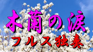 78「木蘭の涙」　スターダストレビュー　フルス　葫芦絲　ひょうたん笛　hulusi