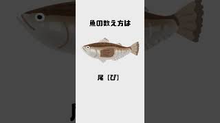 物の数え方の雑学Part６#shorts #雑学 #豆知識 #トリビア