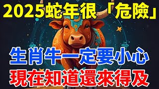 2025蛇年很「危險」，生肖牛一定要小心！現在知道還來得及！【生肖智慧】#生肖 #財運 #運勢 #屬相 #風水 #命理