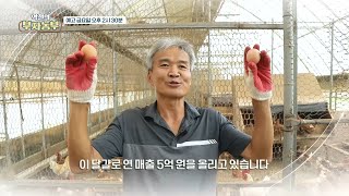 [예고] 역전의 부자농부 165회_연 매출 5억 원! 유기농 달걀로 부자농부가 된 성공 비법은?