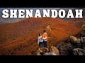 BEST PLACES TO VISIT in Shenandoah National Park | Fall Foliage Road Trip Ep. 3