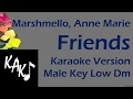 Marshmello - Marie Anne - FRIENDS Karaoke Cover Instrumental Lyrics Male Key Low Dm