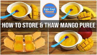Baby Food Mango - 3 Easy Recipes | Stage 1 Baby Food