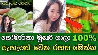 9 Beautiful Ways to Use Aloe Vera |කෝමාරිකා භාවිතා කර ලස්සන වෙන ක්‍රම 9ක්