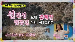 🎵선진성 벚꽃길♡가수 김혜진(금영92694.태진99530.앨프42832)