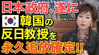 【海外の反応】世界激震 ! 隣国反日教授追放‼日本政府がついに・・これで関係が完全になくなる!【にほんのチカラ】