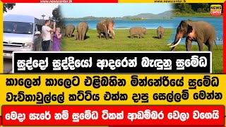 සුද්දෝ සුද්දියෝ ආදරෙන් බැඳුනු සුමේධ | මින්නේරියේ සුමේධ වැව්තාවුල්ලේ කට්ටිය එක්ක දාපු සෙල්ලම් මෙන්න