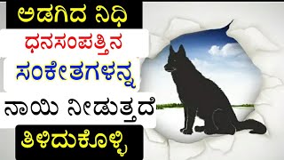 ನಾಯಿಗೆ ಸಂಭಂದಿಸಿದ ಶಕುನ ಮತ್ತು ಅಪಶಕುನಗಳ ಬಗ್ಗೆ ತಿಳಿಯಿರಿ Shakun \u0026 Apashakuna Shastra As per Dog | Vastu