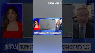 Avi Loeb responds to Trump’s claims to release files on UAPs