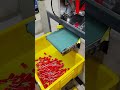 weet wrap process of red tapes on hifi audio mkp mxp capacitors manufacturing assembling