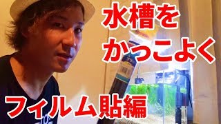 ザリガニを青くする大計画！！水槽をかっこよくしよう！！