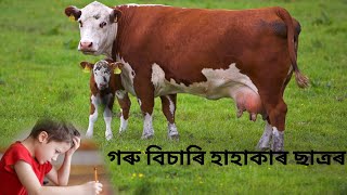 গৰুৰ বিষয়ে ৰচনা । NEW FUNNY VIDEO BY #MIXER_CAZY_BOY