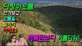 [슬기로운 미쿡주식] 백록담 뺨치는 아름다운 분화구! 다랑쉬오름! : 제주 한달살이 20일차