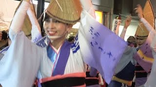 流し踊り「湘南なぎさ連」第47回初台阿波踊り（2016.9.22）