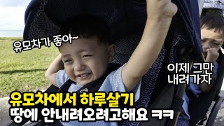 유모차가 너무 좋아서 유모차만 타려고 해요 ㅠㅠ 근데 생각보다 좋은데? (스토케 요요3) | 가족일상 브이로그 동글이네