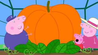 La calabaza gigante | Peppa Pig en Español Episodios Completos